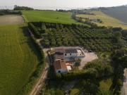 Casetta tra gli ulivi