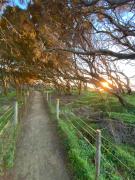 Top Anglesea