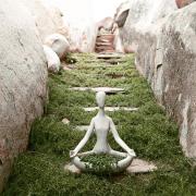 Top Valle de Guadalupe