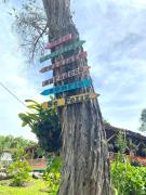 Finca Cafetera Madrigal - Café Sortiz