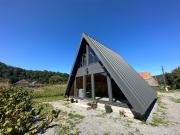 Top Bologa Top Bologa