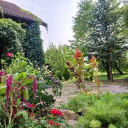 Top Jonkowo Top Jonkowo