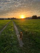 Top Sumiswald Top Sumiswald