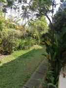 Top Ubud