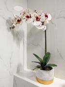 Top Warszawa Top Warszawa