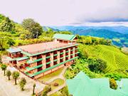 Top Mae Salong