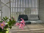 Chalets avec terrasse, draps inclus à Pierrefitte-sur-Loire - FR-1-489-360