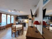 T2 confort Bride-les-Bains, terrasse, animaux admis - FR-1-512-263