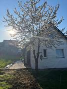 Top Gorzeń Dolny Top Gorzeń Dolny