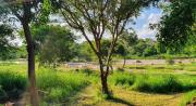 Top Hoedspruit