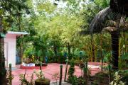 Top North goa