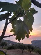 Top San Mauro Cilento