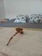 TEKOHA, Alquiler Temporario en Posadas!