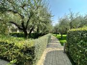 Top Cavaion Veronese