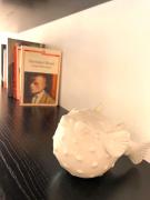 Top Porto San Giorgio