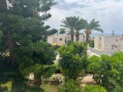 Top Peyia