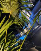Top Nikiti