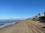 Top Marbella