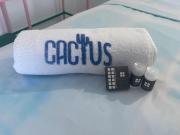 Top Playa de Chachalacas