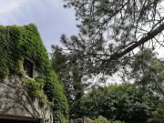 Top Curtil-Vergy