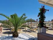 Top Cesenatico