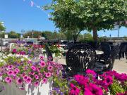 Top Cesenatico