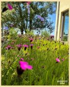 Top Herrsching am Ammersee