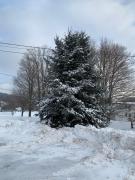 Top Windham