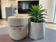 Hancho - Velingrad - Marvel Apartament