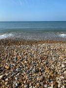 Seal Bay, West Sands