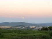 Top Volterra Top Volterra