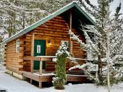 Willow Cabin