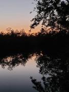 Top North Fort Myers