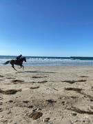Top Warrnambool