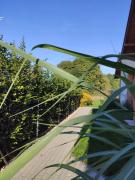 Top Kopalino Top Kopalino