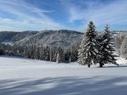 Top Lenzkirch