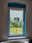 Top Katowice Top Katowice