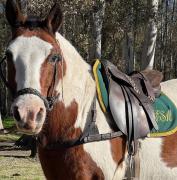 Top San Miguel del Monte