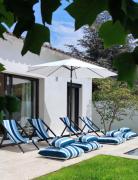 Van Gogh en Provence