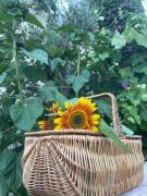 Top Vitorino dos Piães