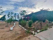 Top Valle de Guadalupe Top Valle de Guadalupe