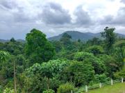 Top Kuala Tahan