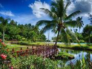 Top Las Terrenas Top Las Terrenas