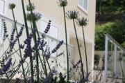 Apartments Lavanda