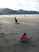 Seaforth Holiday Units