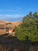 Top Zlatibor