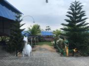 Top Halangan