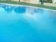 Top Orihuela
