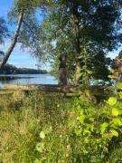 Top Lagan