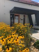 Top Jászárokszállás